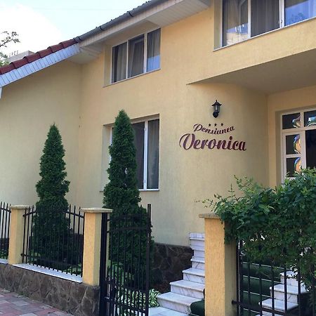 Pensiunea Veronica Félixfürdő Kültér fotó